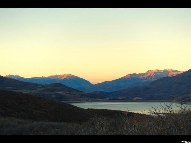 1360 Lasso Trl - Photo 1