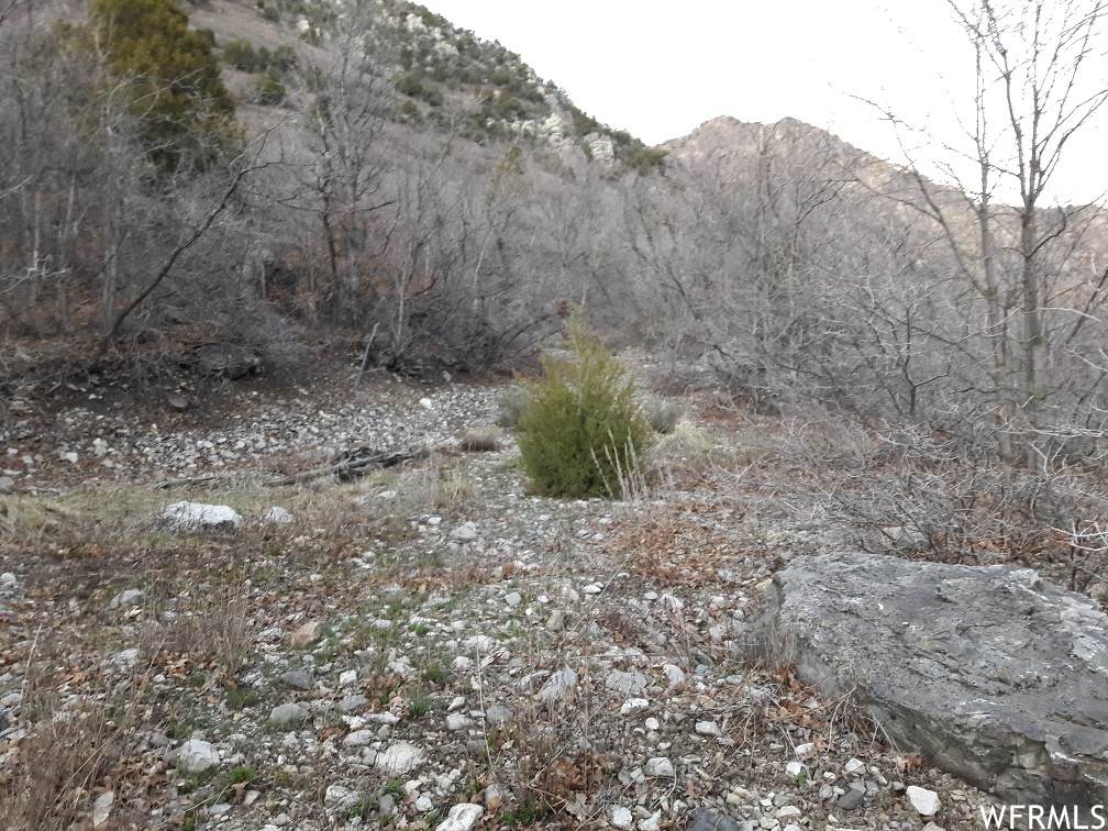 500 Ogden Canyon Rd - Photo 1