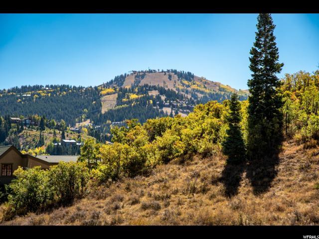 1302 Mellow Mountain Rd - Photo 1