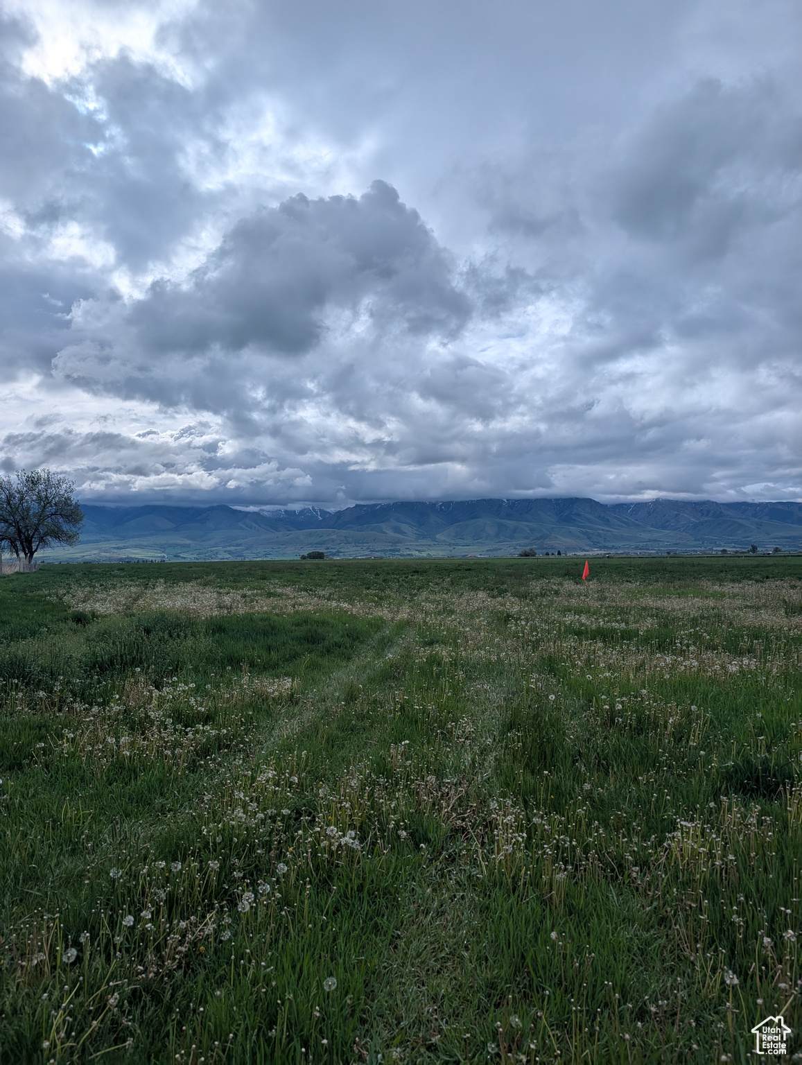  Address Not Published - Photo 1