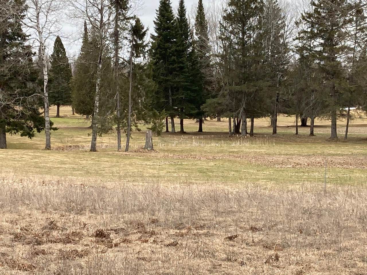 Golfview Drive - Photo 1