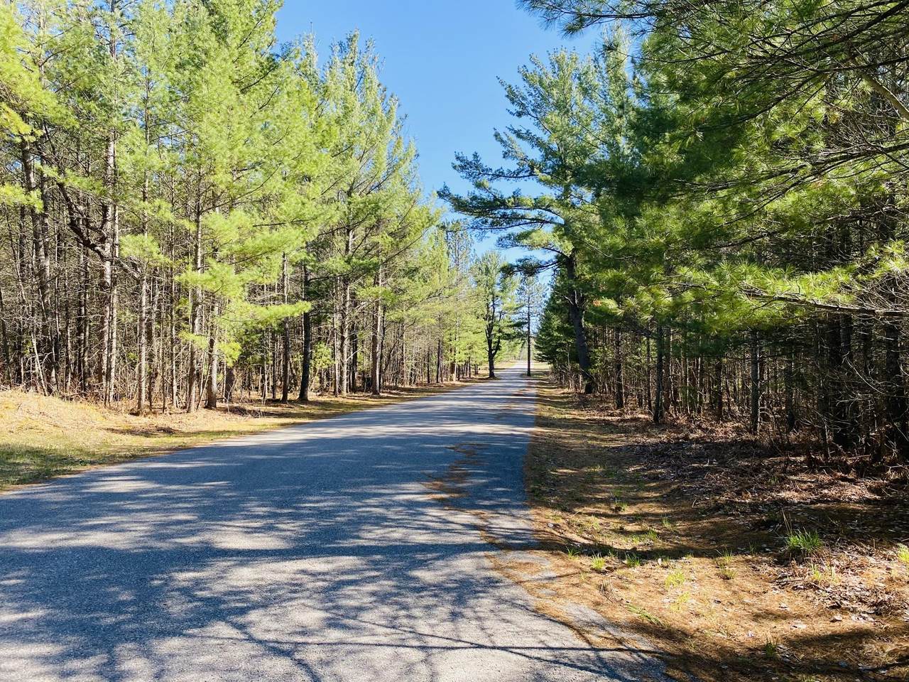 Timber Pines Estates - Photo 1
