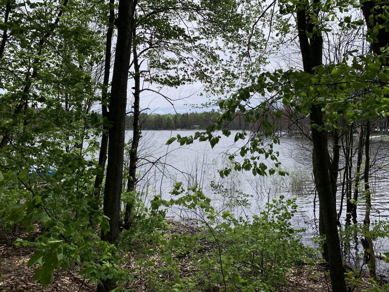 Lot 17 Vail Lane - Photo 1
