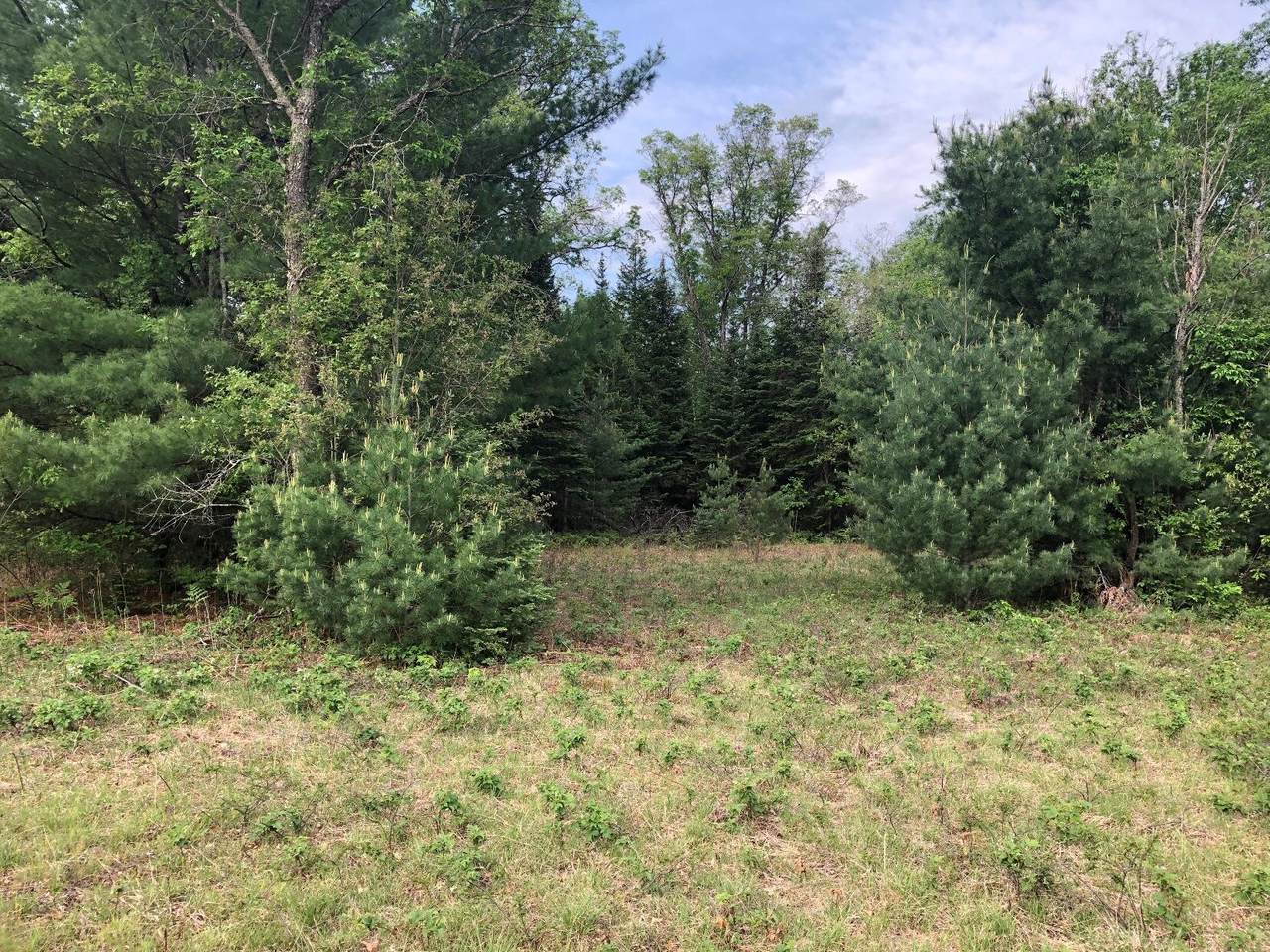 220 Beaver Creek Trail - Photo 1