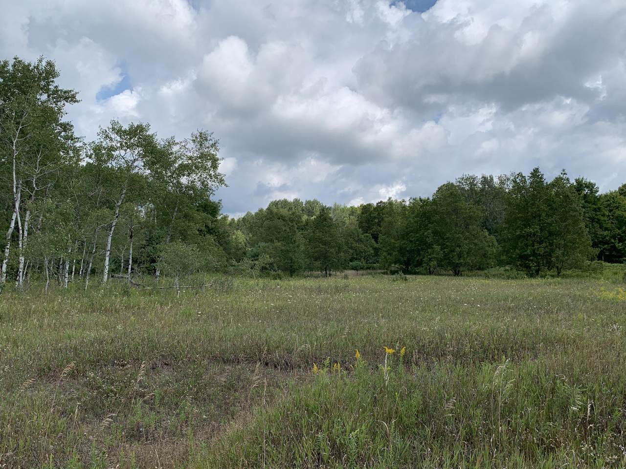 Old Mackinaw Trail - Photo 1