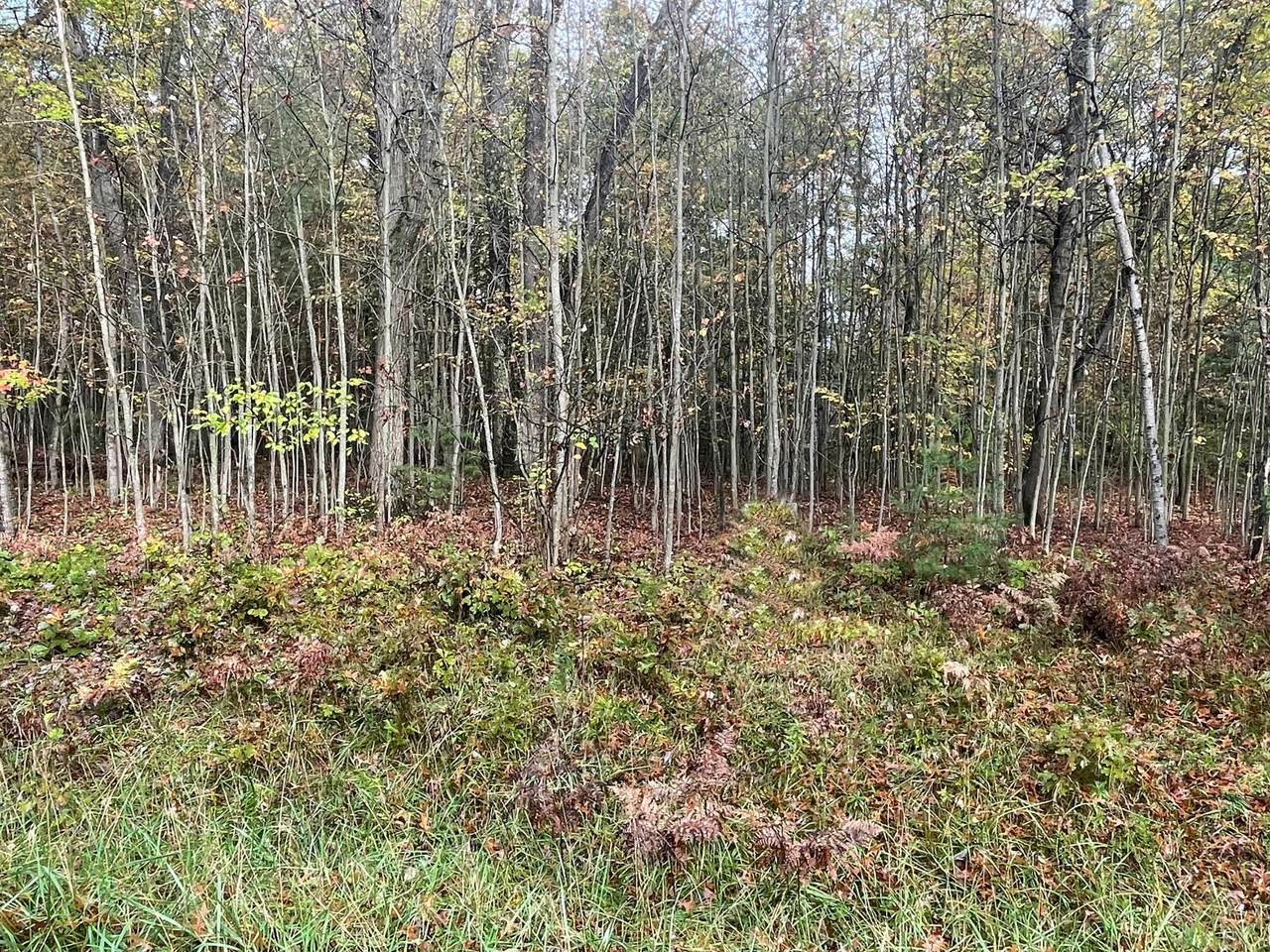 Lot 50 Hidden Hills - Photo 1