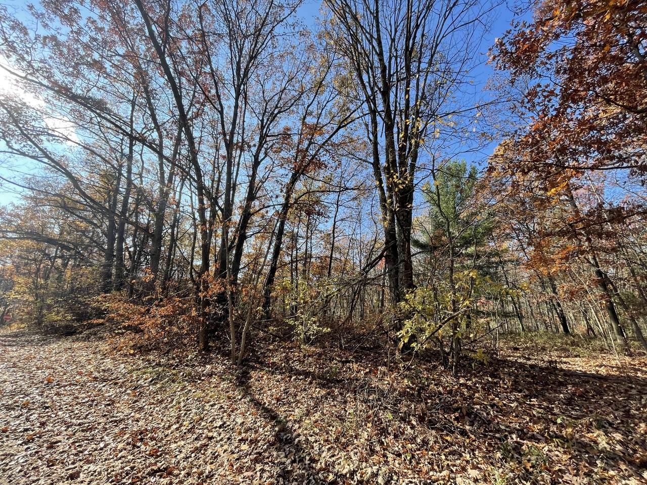 B-1 Lincoln Avenue - Photo 1