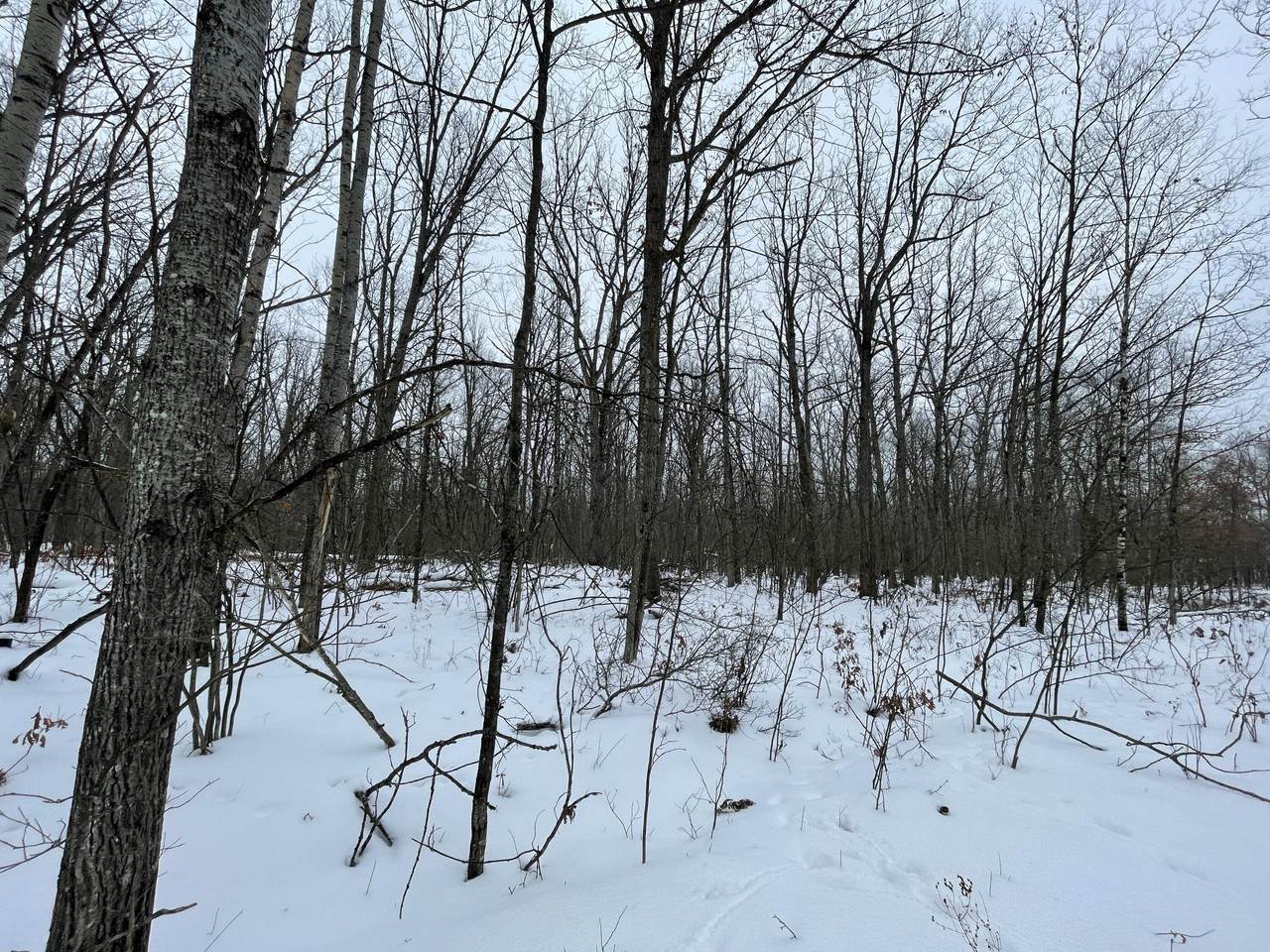 324 & 325 Elk Herd Court - Photo 1