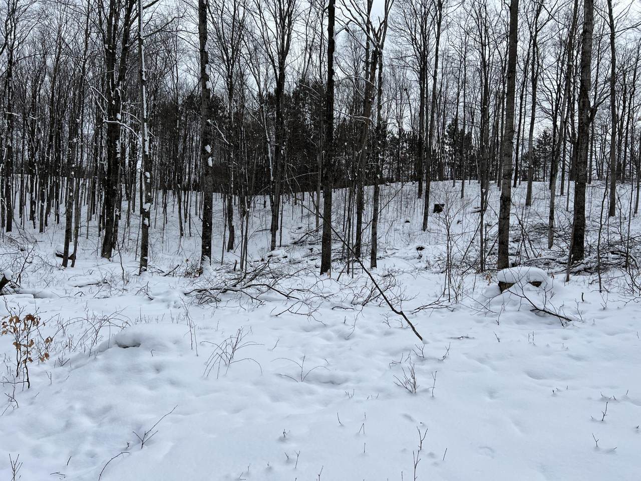 6884 Zue Road - Photo 1