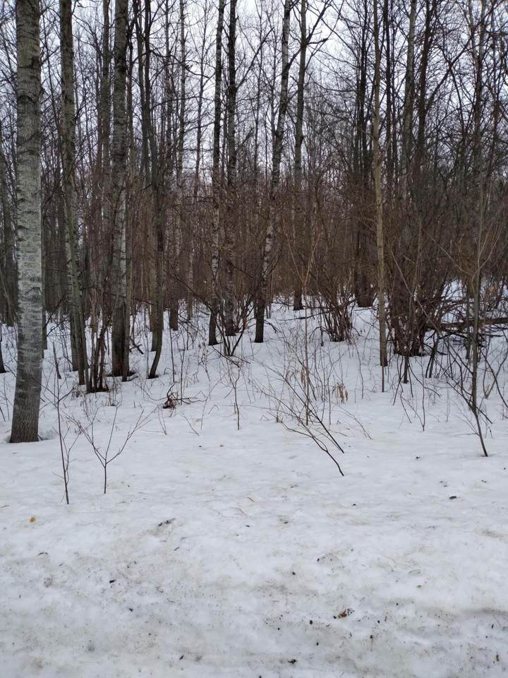 Lot # 340 Wilderness Drive - Photo 1