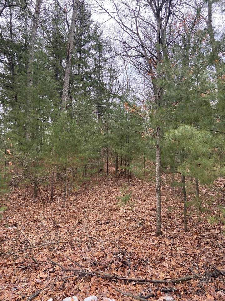 XX Vacant Chipmunk Trail - Photo 1
