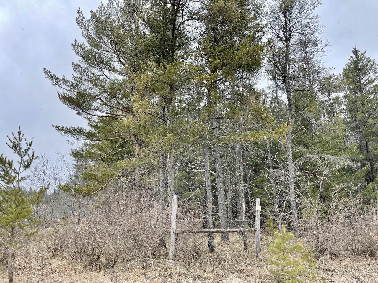 Mathews Road - Photo 1