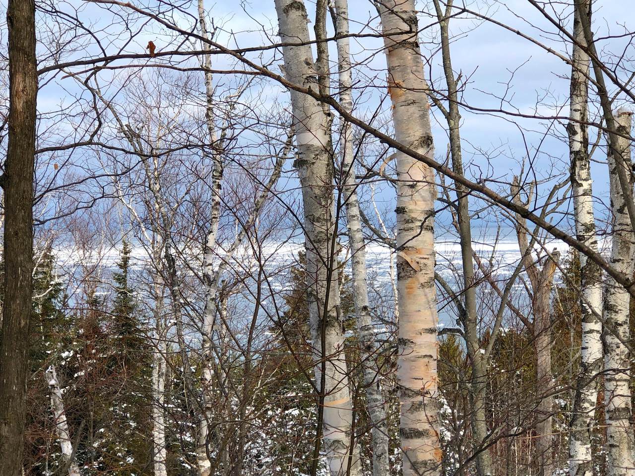 TBD Mackinaw Straits Drive - Photo 1