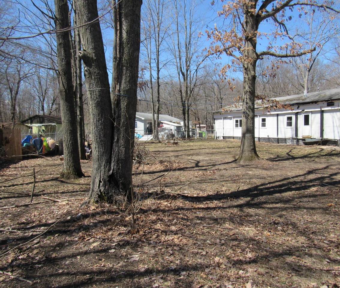 252 Mink Drive - Photo 1