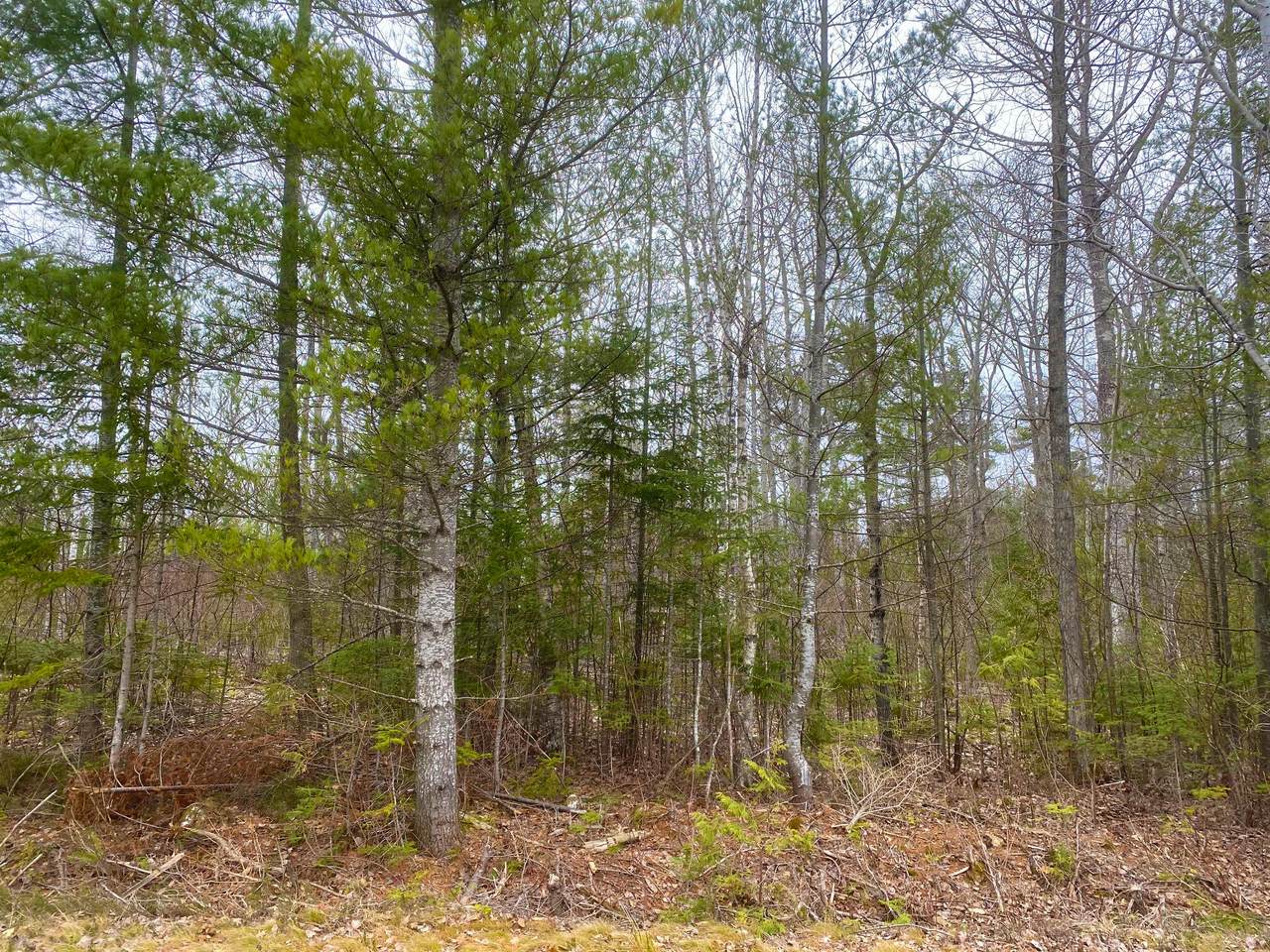 Lot 327 Fallen Timbers Drive - Photo 1