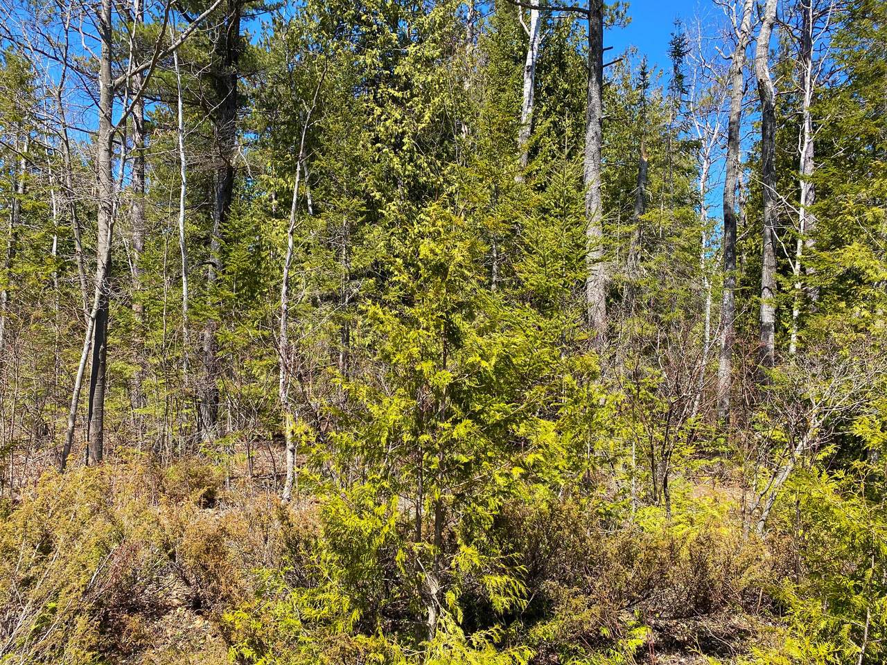 Lot 178 Lakehurst Drive - Photo 1