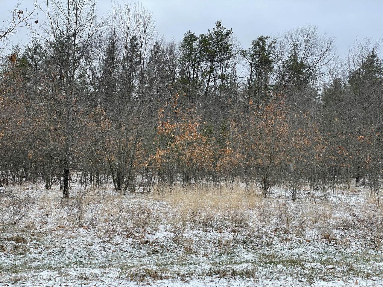 Lot 3 Larson Court - Photo 1