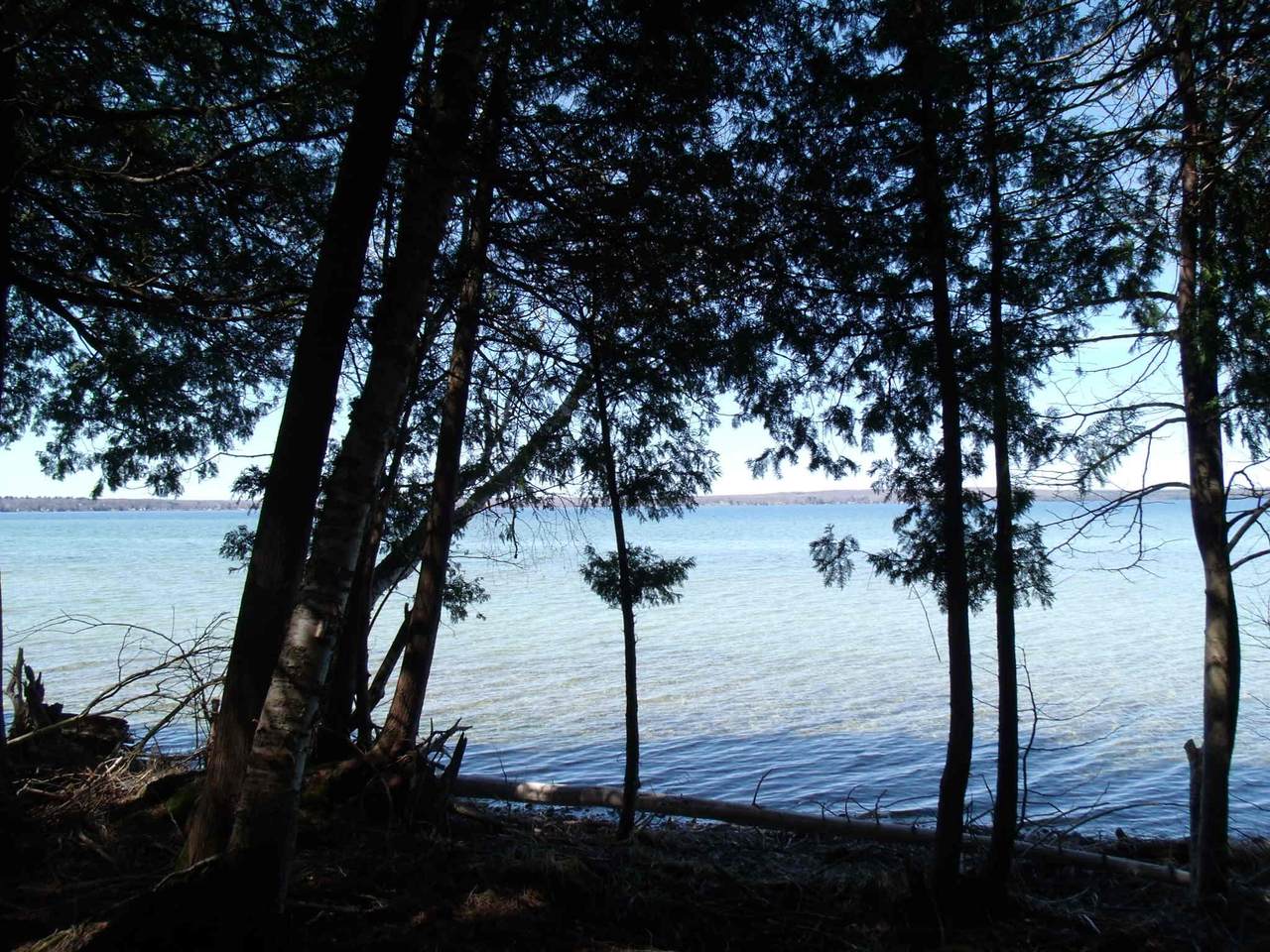 Weatherhead Trail - Photo 1