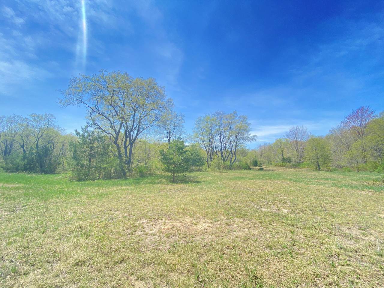 11591 Alba Highway Road - Photo 1