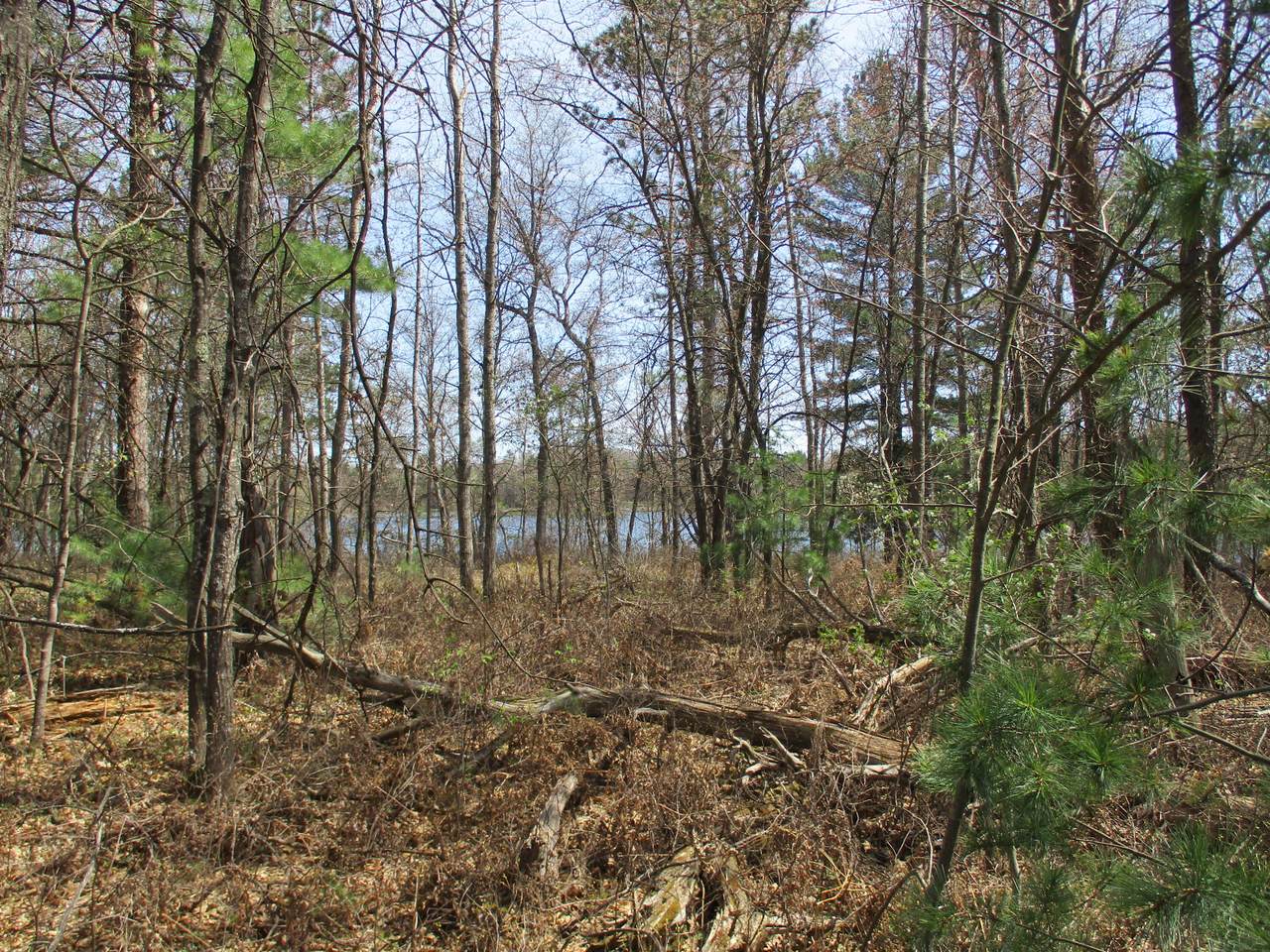 5332 Woodridge Drive - Photo 1