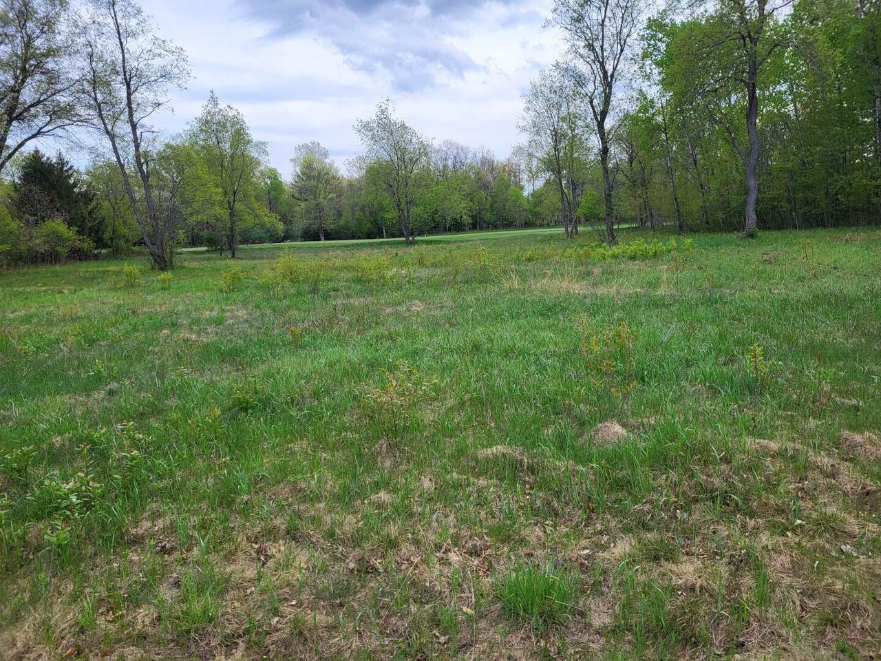 Lot 11 Fairway Court - Photo 1