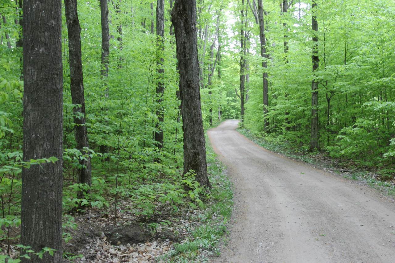 Trooper Trail - Photo 1