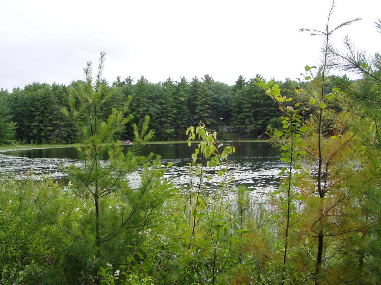 Lot 27 Perch Lake Drive - Photo 1