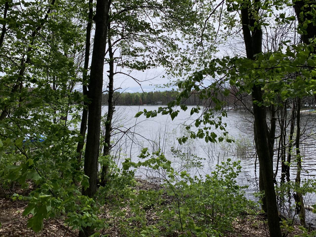 Lot 17 Vail Lane - Photo 1