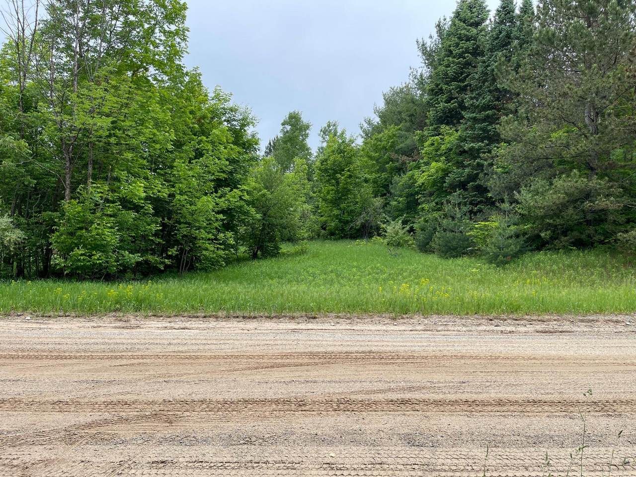 1689 Cool Road - Photo 1