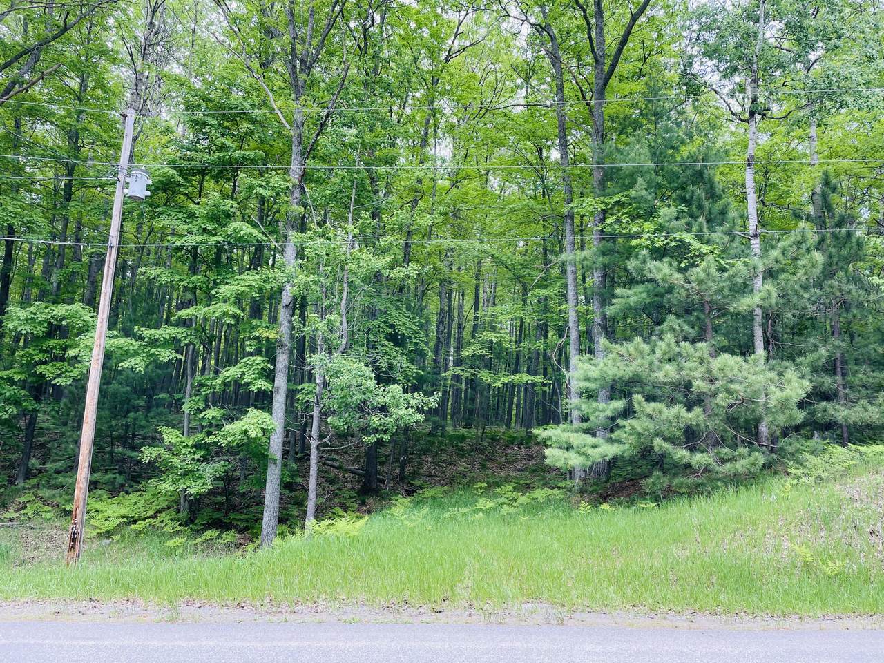 Lot 85 Ess Lake Drive - Photo 1