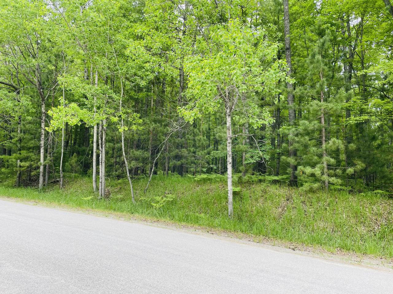 Lot 86 Ess Lake Drive - Photo 1