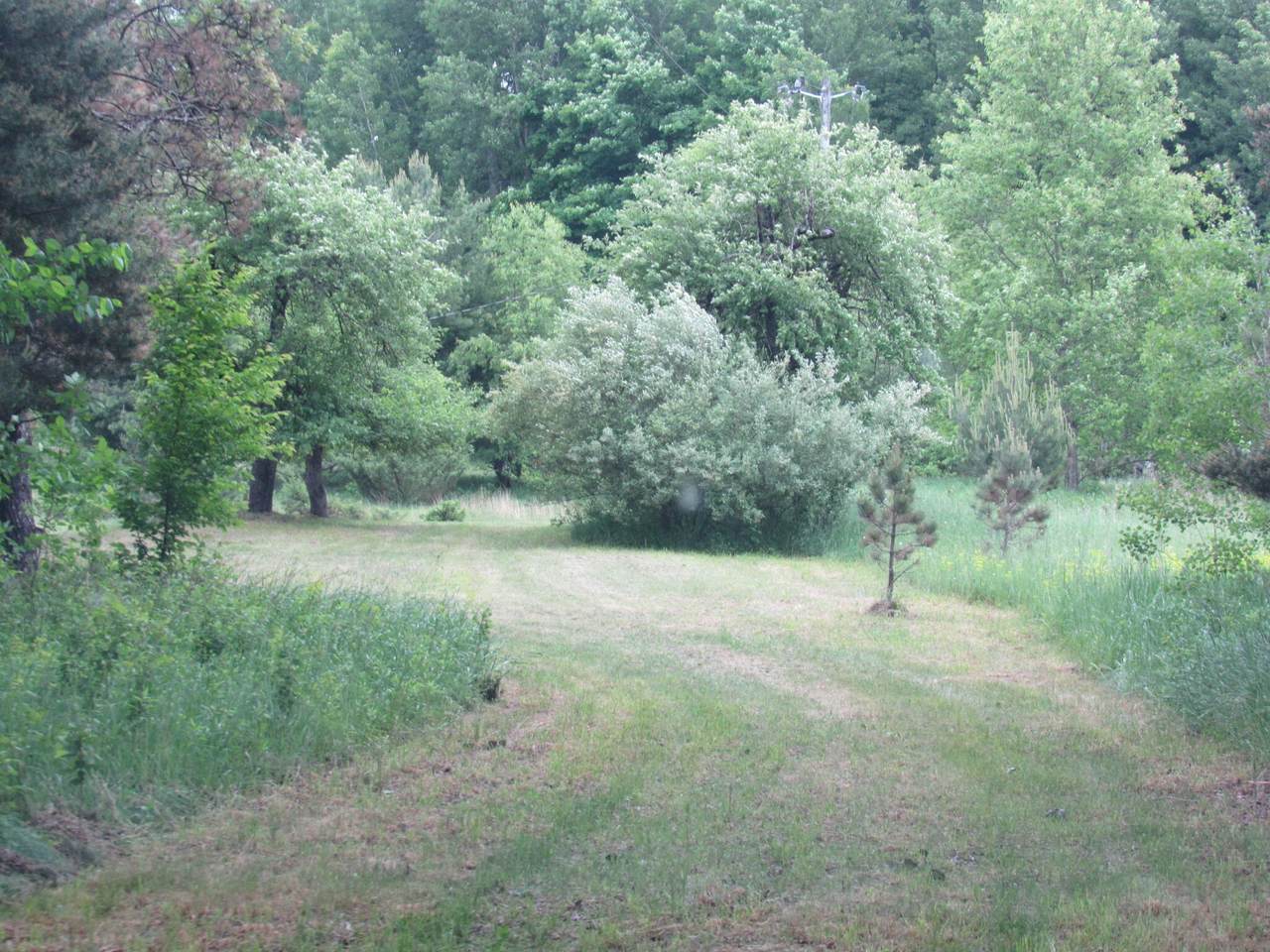45a Alden Highway - Photo 1