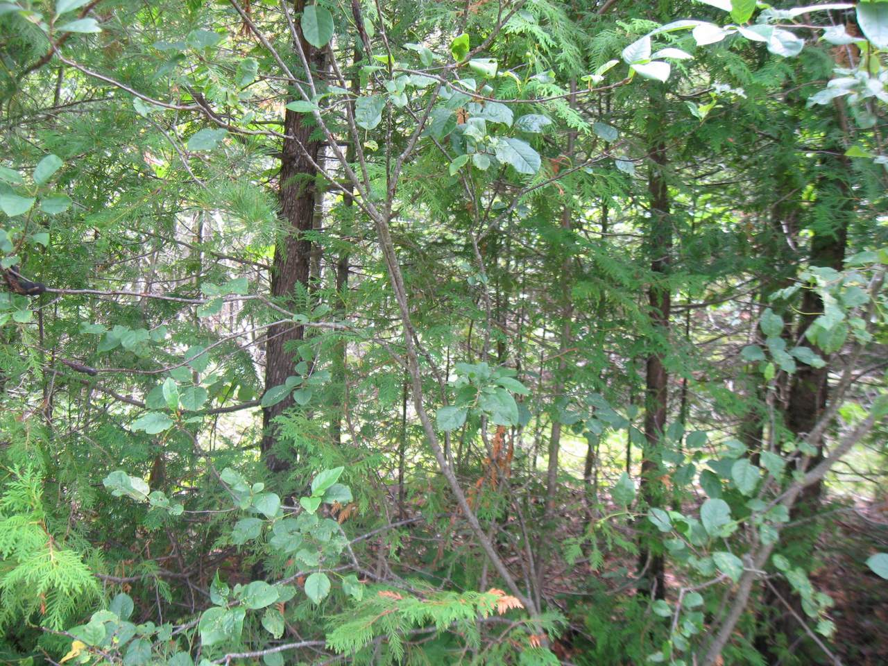 North Bay Shores - Photo 1