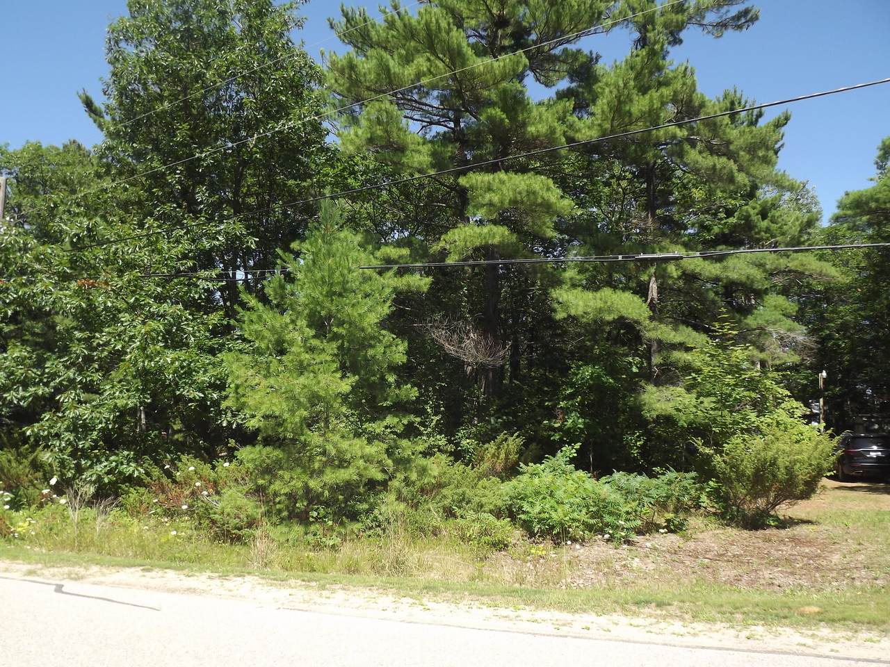 8961 Cordwood Trail - Photo 1