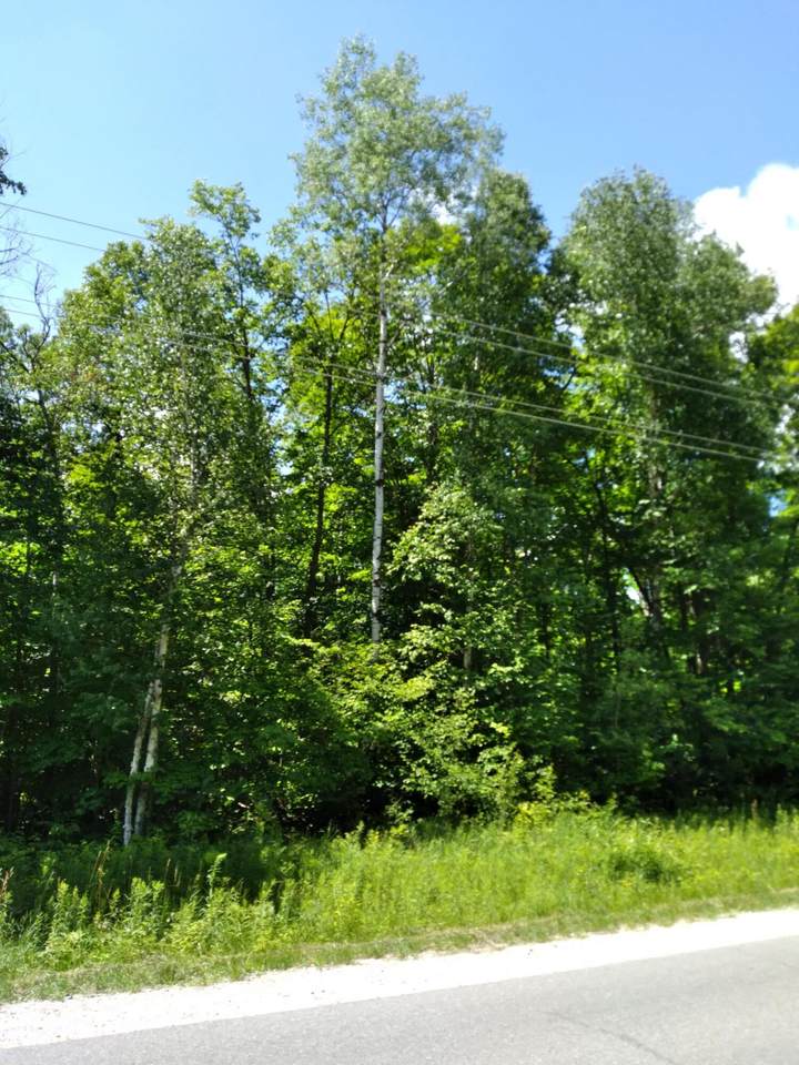 Pineview Drive - Photo 1