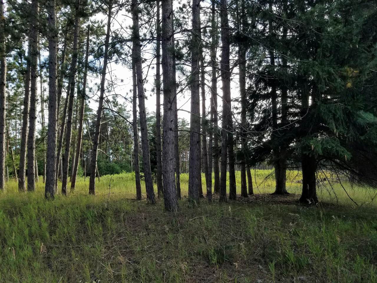 Parcel N Poquette & River Drive - Photo 1
