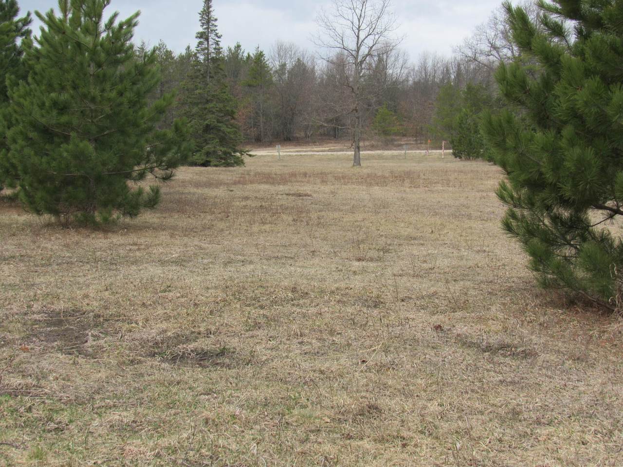 Corner Of Billman-W. Pioneer Road - Photo 1