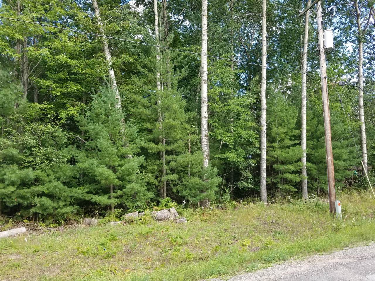 Pine Grove Road - Photo 1