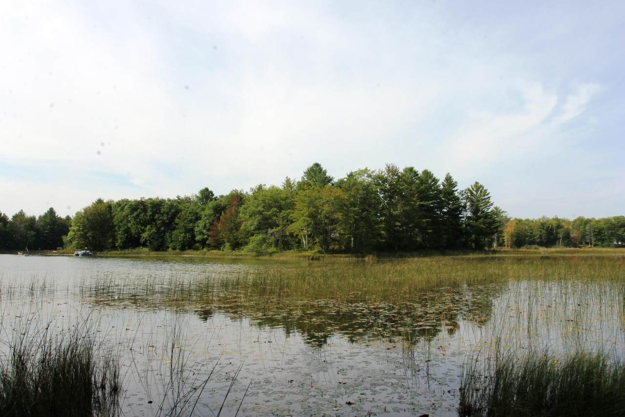 6261 Bass Lake Road - Photo 1
