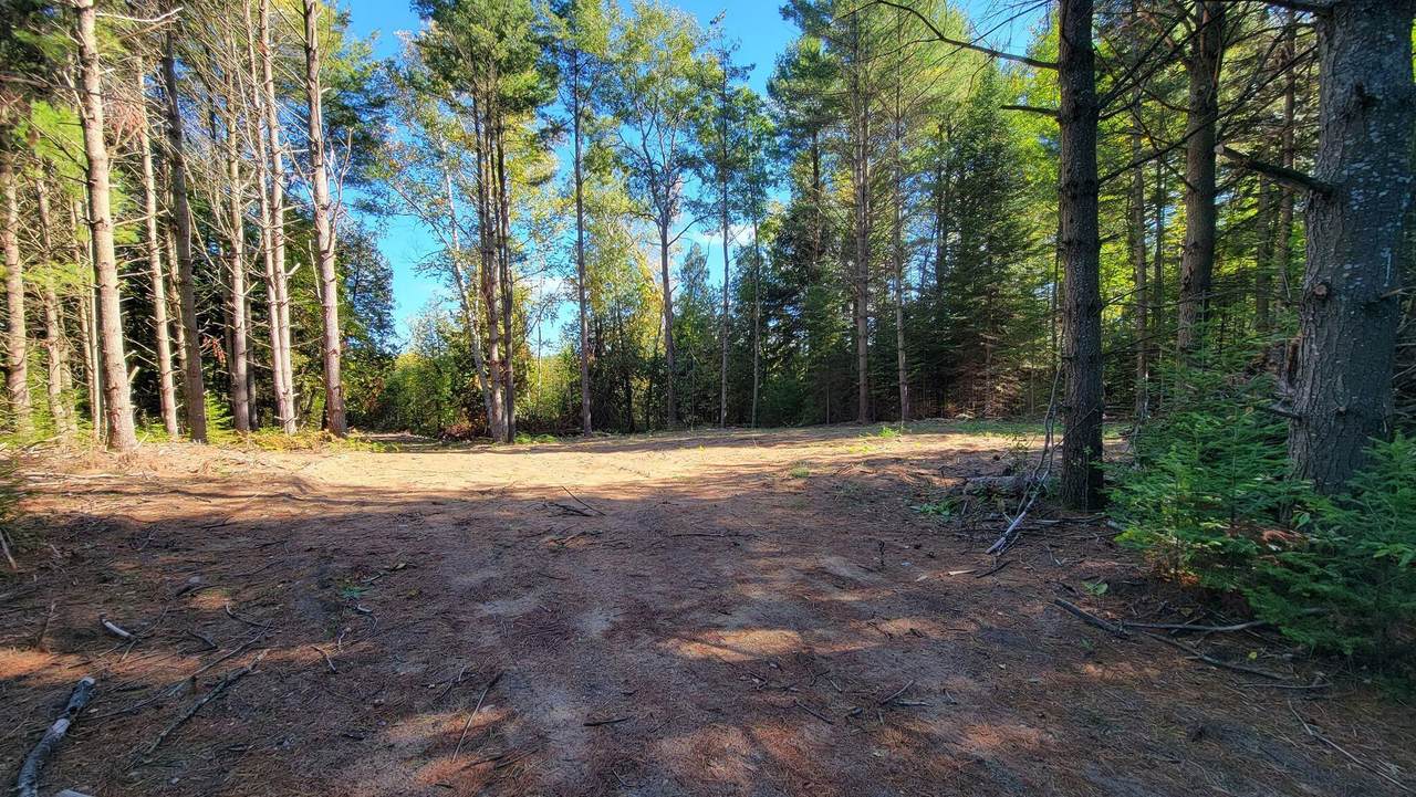 Cedar Lake Road - Photo 1
