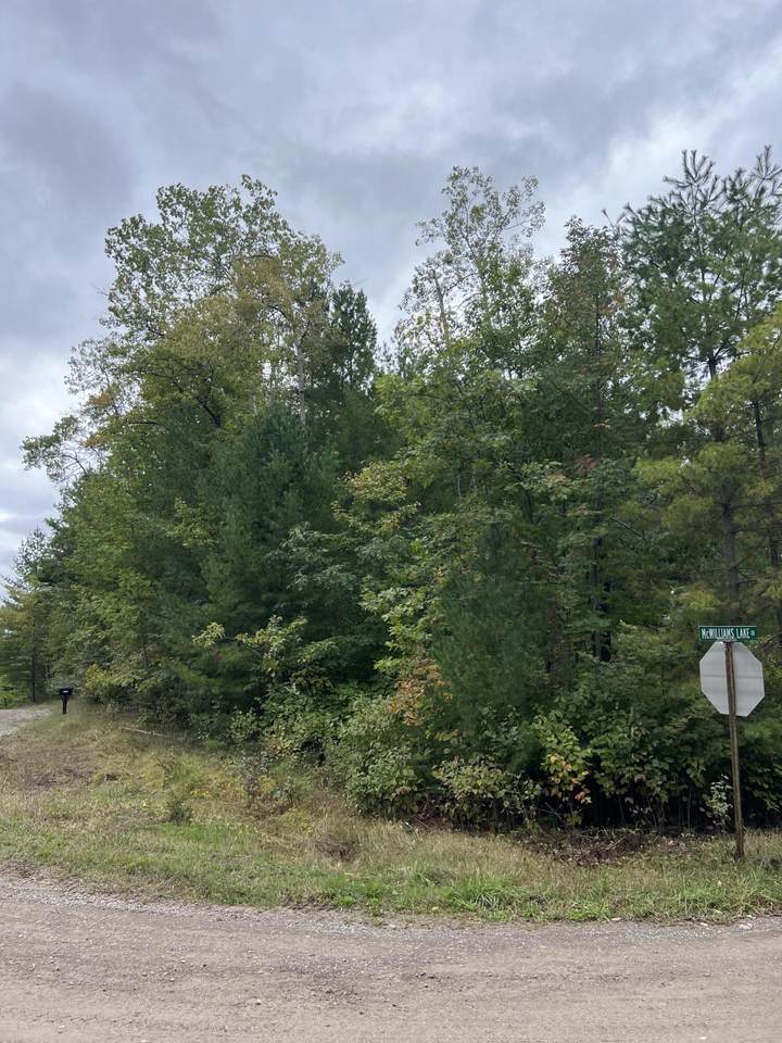 Mcwilliams Lake Road - Photo 1