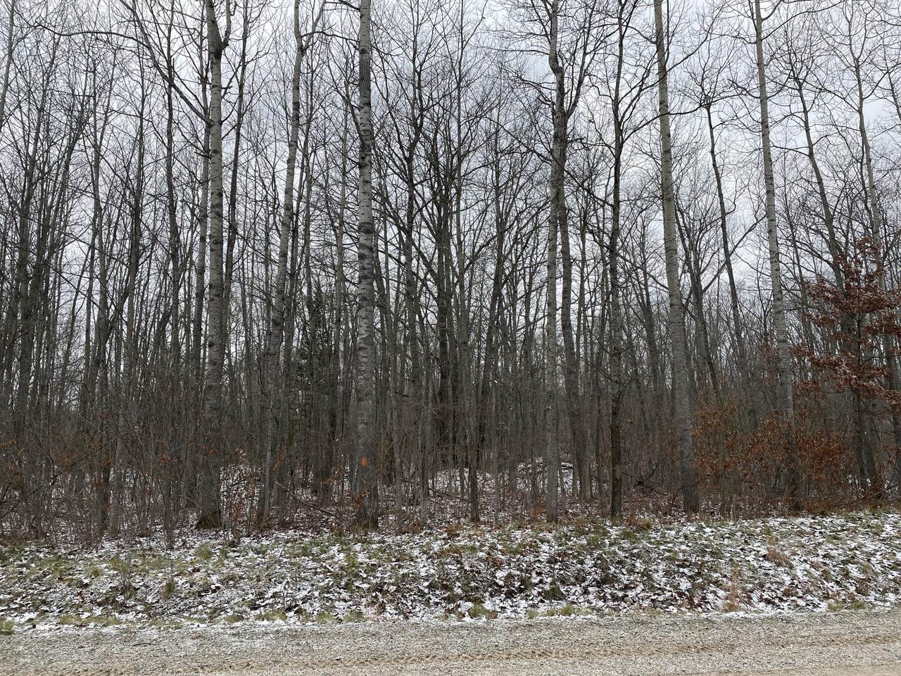 Lot 34-35 Miles Way - Photo 1