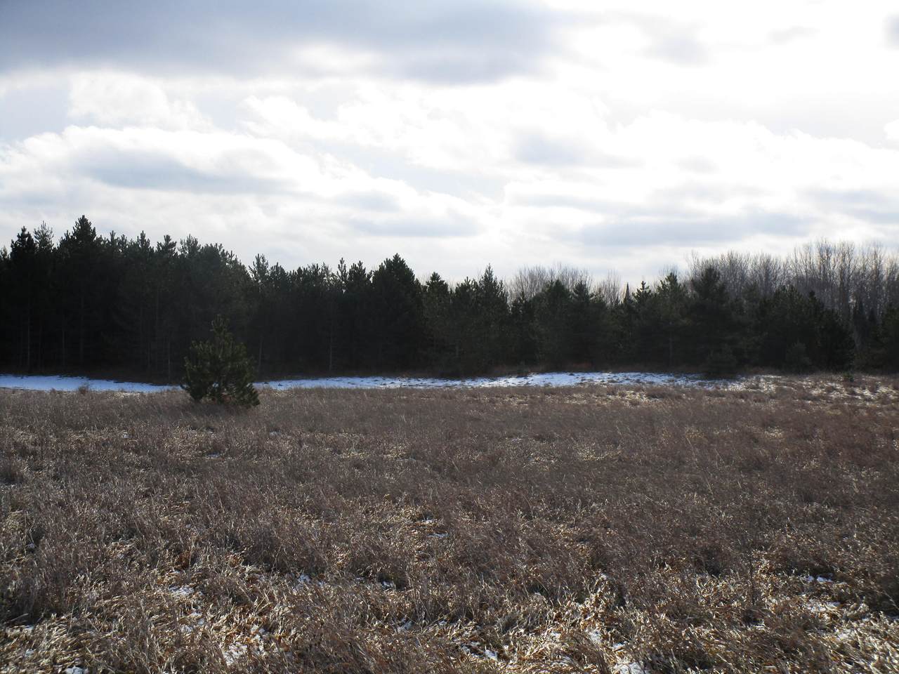1234 Levering Road - Photo 1