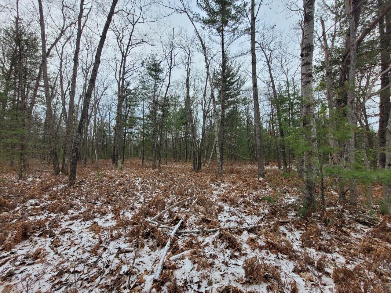 Tucker Road - Photo 1