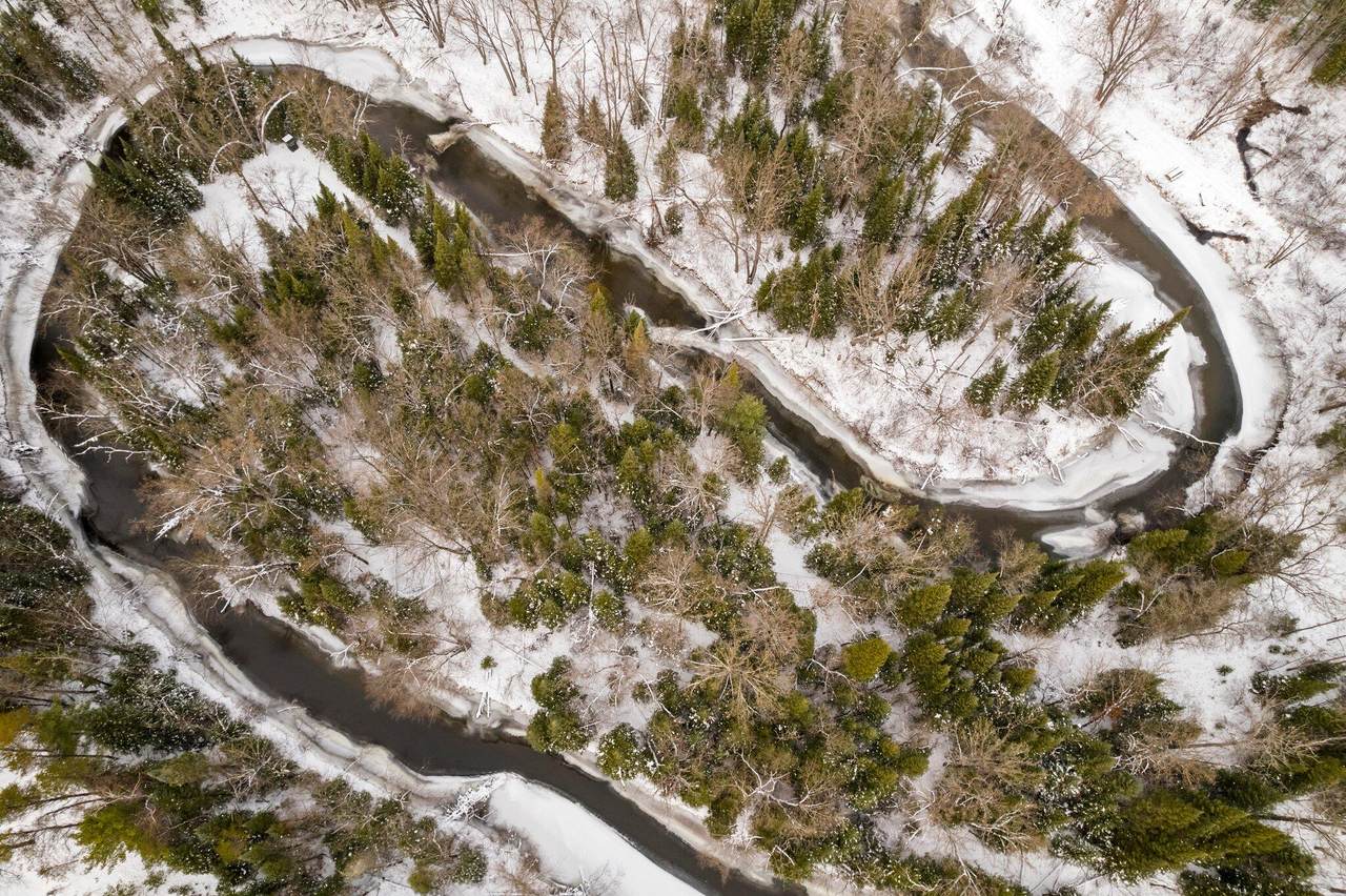 54 acres Van Trail - Photo 1