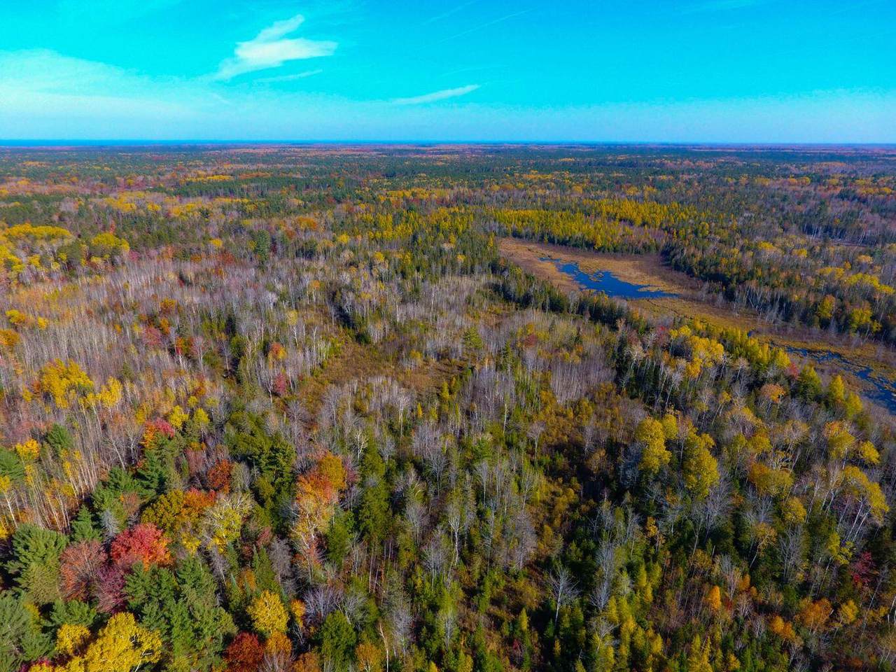 9198 Upper Mograin Road - Photo 1