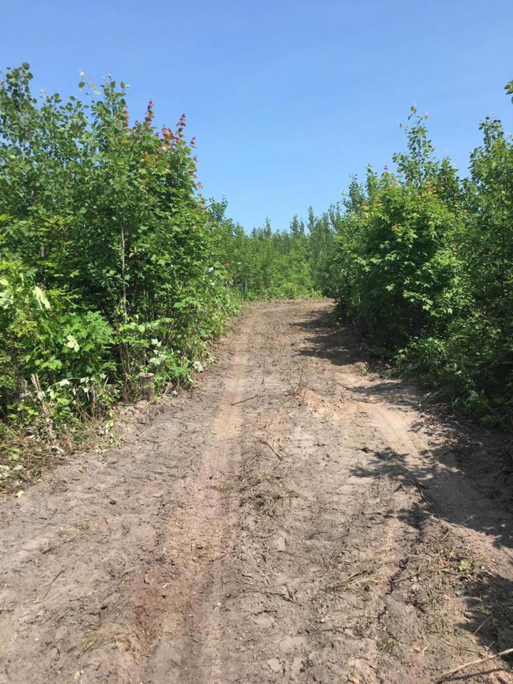 Walker Road - Photo 1