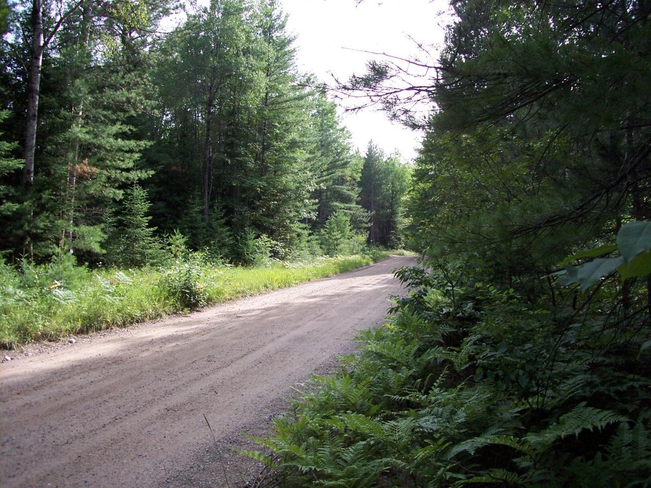 Fritz Road Road - Photo 1 Fritz Road Road - Photo 1