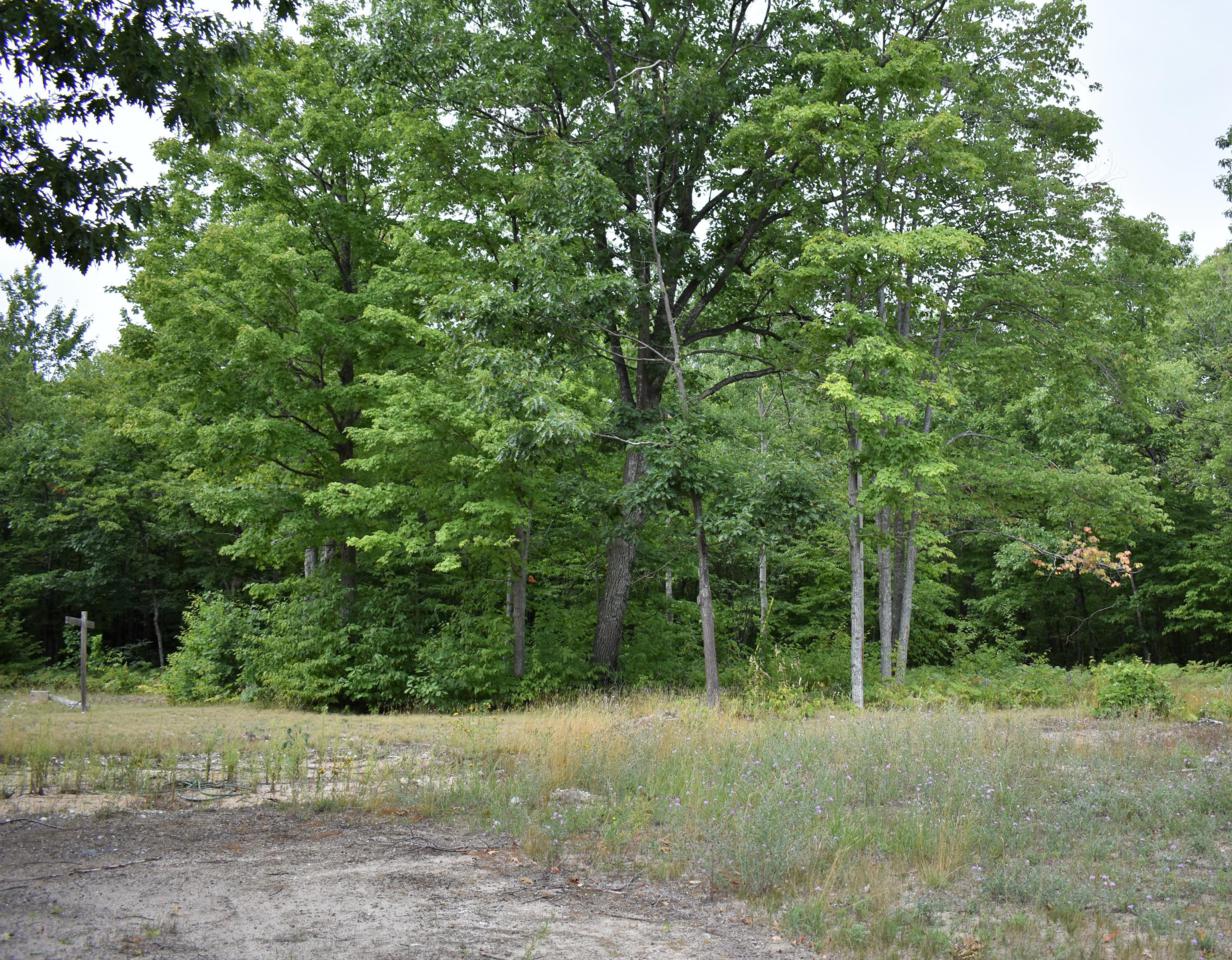 10695 Wheeling Road - Photo 1