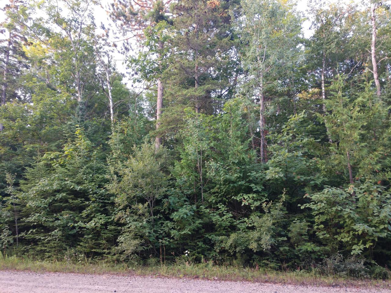 8340 Cordwood Trail - Photo 1